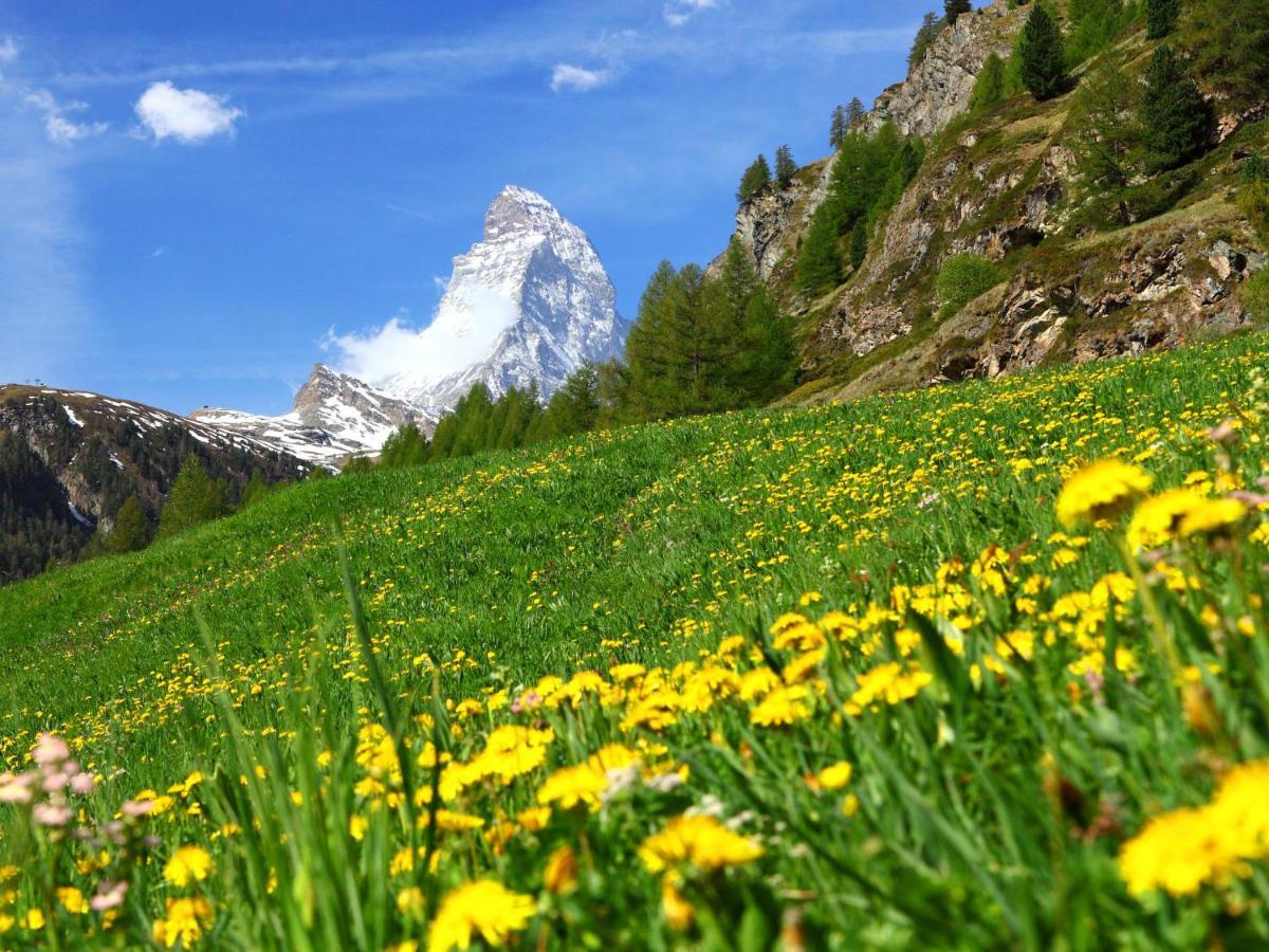 Apartment Armina By Interhome Zermatt Zewnętrze zdjęcie
