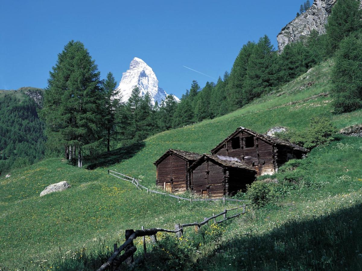 Apartment Armina By Interhome Zermatt Zewnętrze zdjęcie